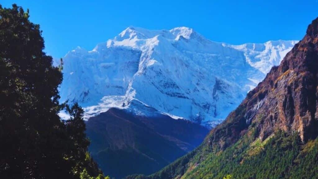 A Journey Through Changing Landscapes