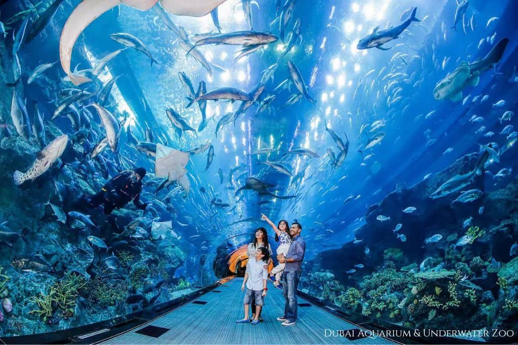 Dubai Aquarium & Underwater Zoo