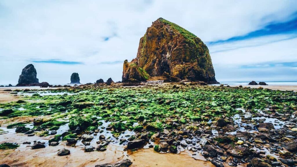 Haystack Rock Tide Pools