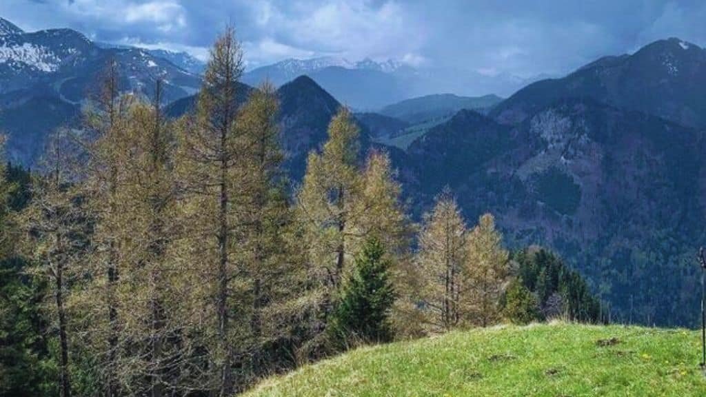 Mountain Valleys NYT Crossword