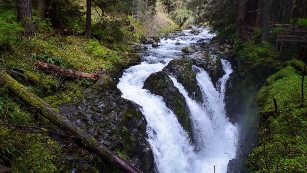 Sol Duc Falls Trail