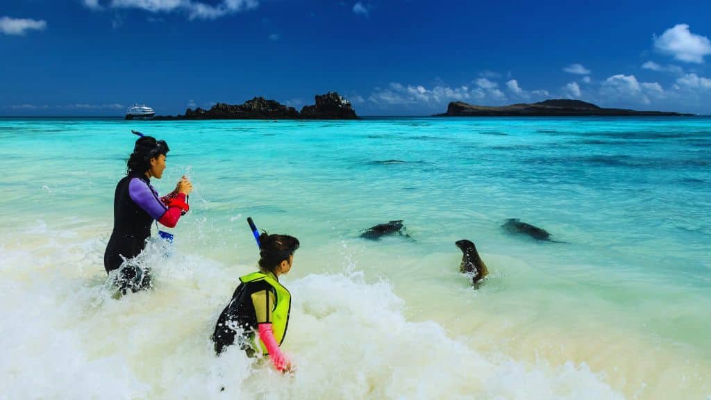 Top Things to Do in the Galapagos Islands