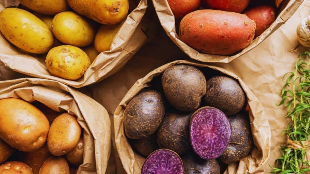 Best Activities for National Potato Day