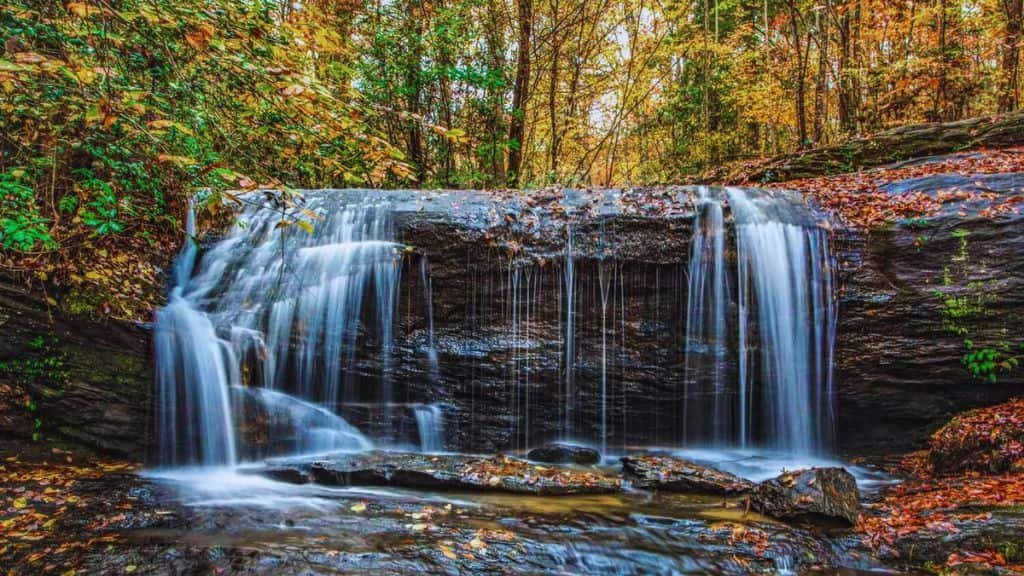 Best Times to Visit in South Carolina