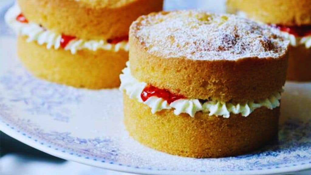 Fun Facts About National Sponge Cake Day