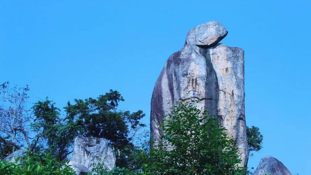 Fun Facts About Muliro Gardens