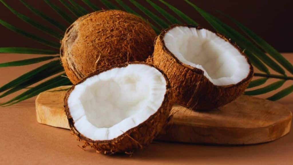 Most Popular Uses of Coconut