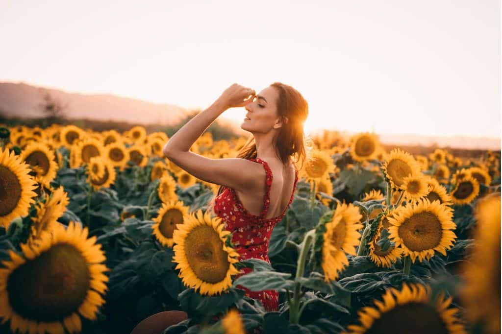 Sunflower Field Activities
