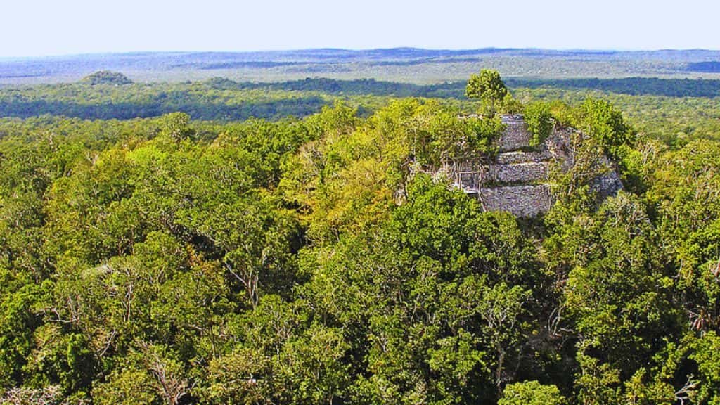 Cultural Immersion and Local Connection