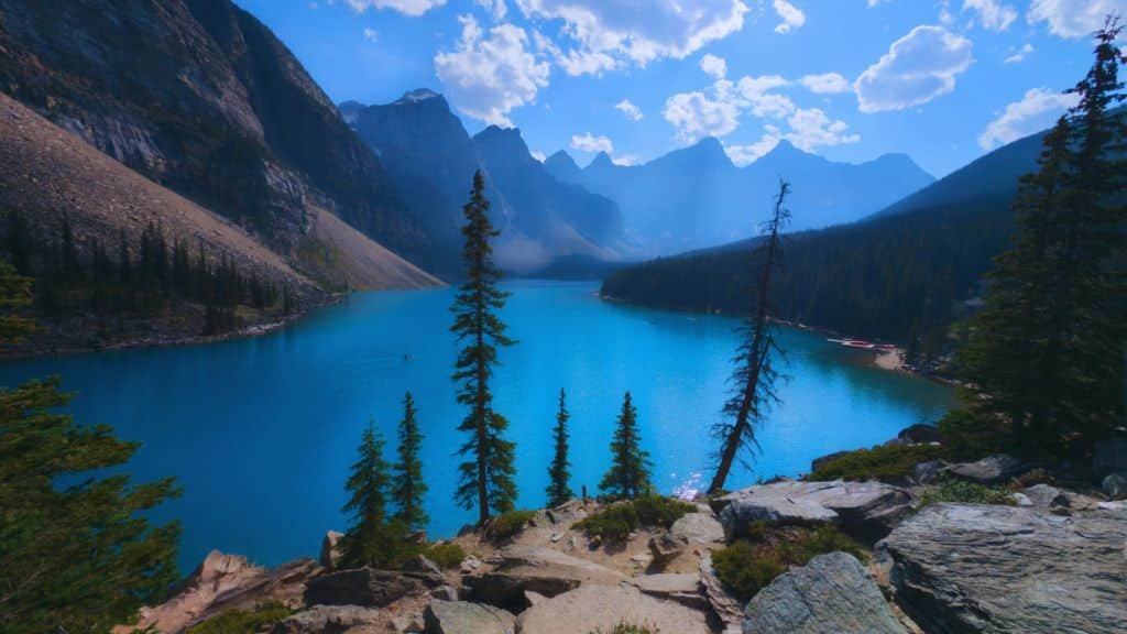 The Beauty of Dual Access