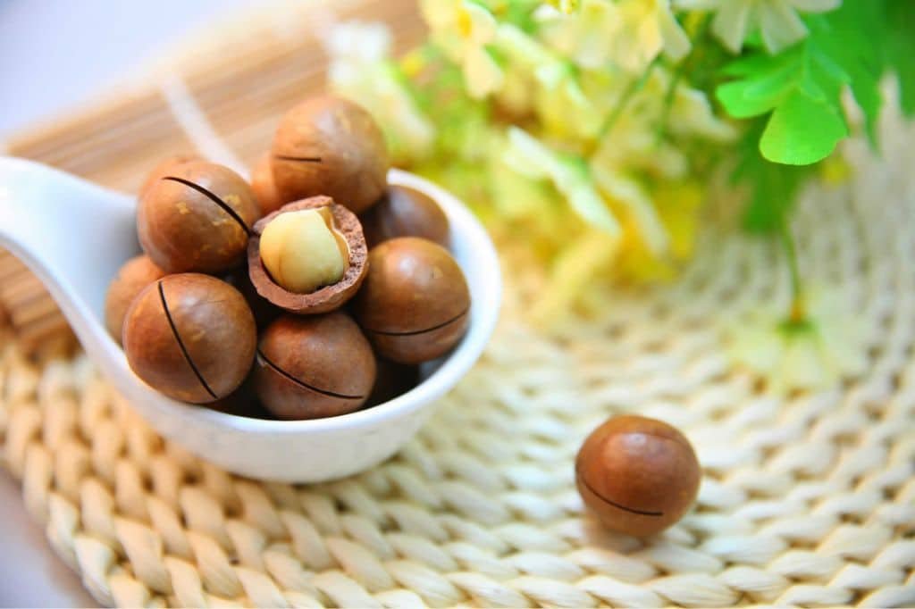 National Macadamia Nut Day