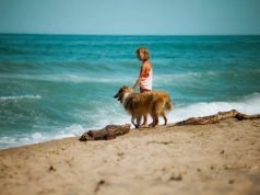 33 Best Beaches in Malibu, California Malibu Beach