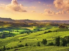 Motivations to Visit the Langhe Wine Region in Piemonte, Italy Visit the Langhe Wine Region in Piemonte