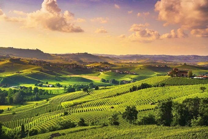 Visit the Langhe Wine Region in Piemonte