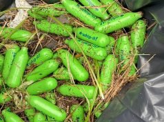 Can You Take Whipped Cream Chargers on a Plane? Can You Take Whipped Cream Chargers On a Plane