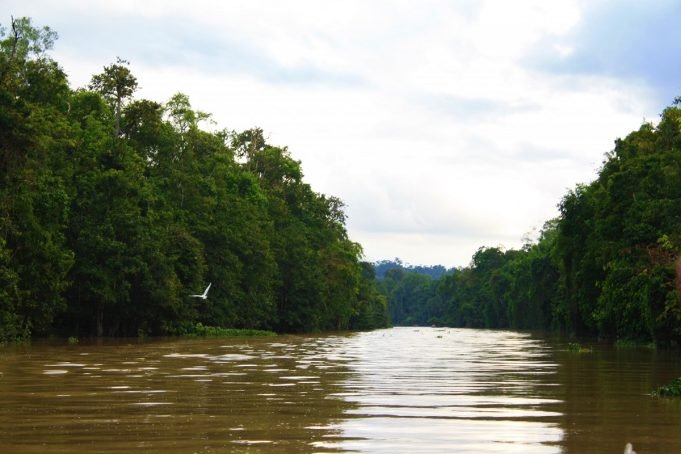 Kinabatangan River