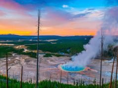 The Ultimate Guide to Visit Yellowstone National Park for Professional Travelers Yellowstone National Park