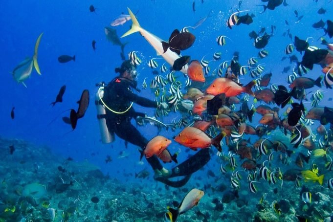 Dive Center in Nusa Lembongan Island