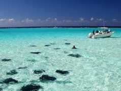 Top Things that You Must Do in Stingray City, Grand Cayman Top Things to Do in Stingray City