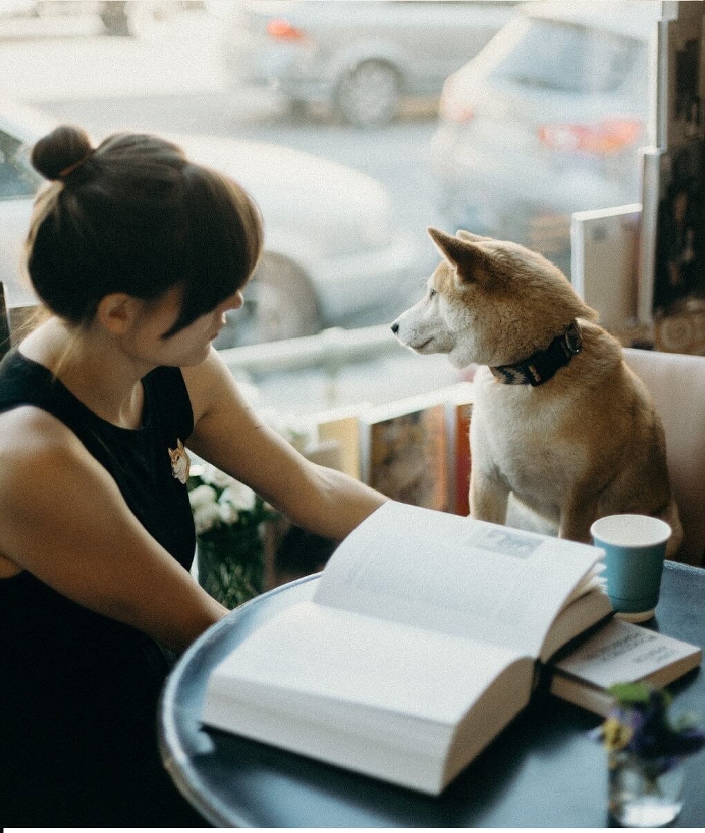 Understanding 'Pet-Friendly'