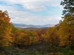 7 Reasons Why Pigeon Forge Should Be Your Next Vacation Why Pigeon Forge Should Be Your Next Vacation