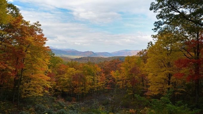 Why Pigeon Forge Should Be Your Next Vacation