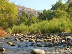 20 Best Things to Do in Three Rivers, CA Best Things to Do in Three Rivers CA