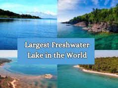 15 Largest Freshwater Lake in the World in 2024 Largest Freshwater Lake in the World