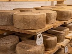 The Cheese Capitals Of The US The Cheese Capitals Of The US