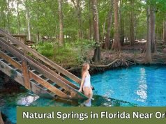 20 Best Natural Springs in Florida Near Orlando