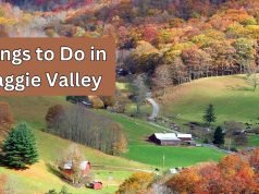 10 Best Things to Do in Maggie Valley Things to Do in Maggie Valley