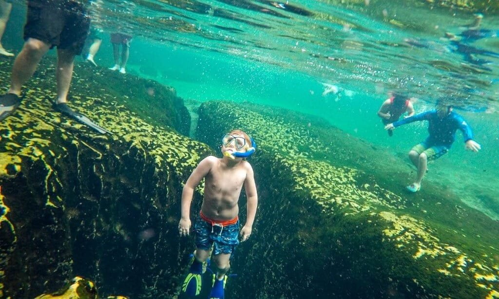 Wekiwa Springs State Park