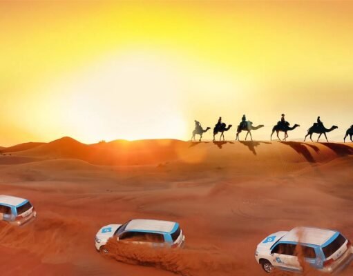 Thrills in the Dunes: An Insider’s Guide to Dubai’s Desert Safari Dubai's Desert Safari