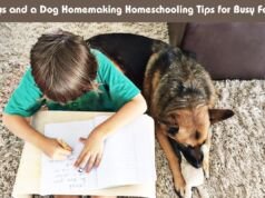 Boys and a Dog Homemaking Homeschooling Tips for Busy Folks Boys and a Dog Homemaking Homeschooling Tips for Busy Folks