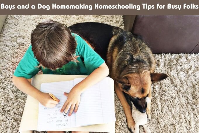 Boys and a Dog Homemaking Homeschooling Tips for Busy Folks