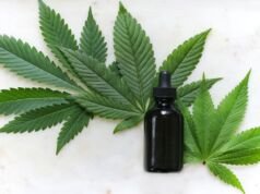 7 Essential Considerations Before Traveling with CBD Essential Considerations Before Traveling
