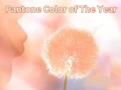 Pantone Color of The Year 2024 – How It Influences Design and Style? Pantone Color of The Year
