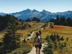 Skyline Loop Trail Awaits Your Adventure – Explore the Wonders Above Skyline Loop Trail