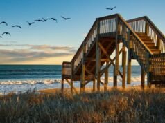 Explore The 60 Best Free Things to Do in Jacksonville in 2024 Free Things to Do in Jacksonville