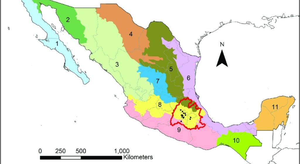 Geographic Distribution of Outlets in Mexico