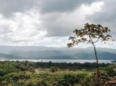 Why Lake Arenal is Such a Popular Destination for Vacationers? Lake Arenal is Such a Popular Destination