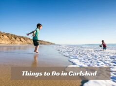 Discover The Best 40 Things to Do in Carlsbad in 2024 Things to Do in Carlsbad