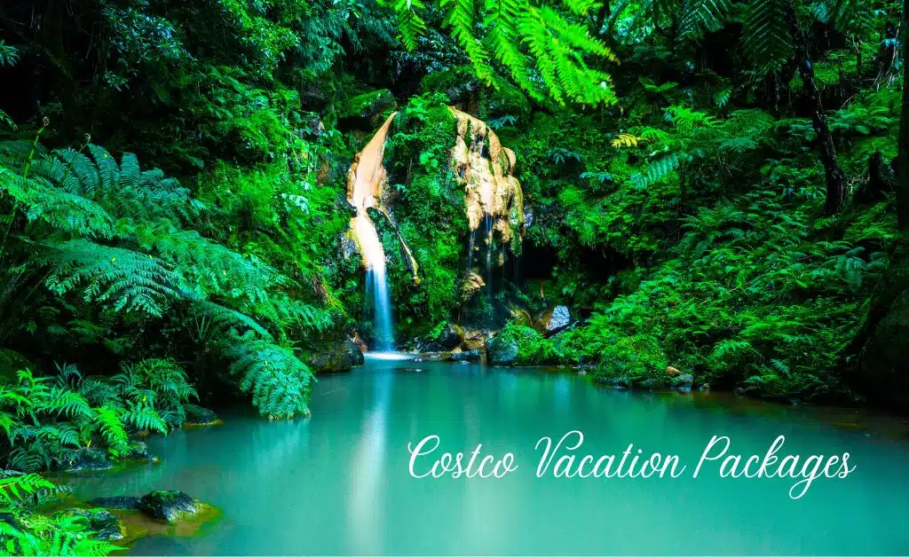 Costco Vacation Packages