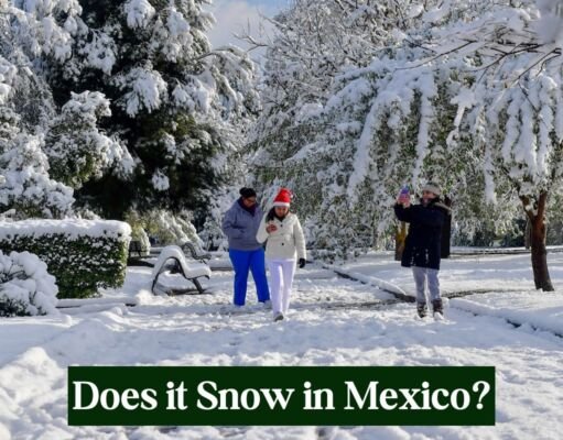 Does it Snow in Mexico? 12 Beautiful Places Where It Snows in Mexico Does it Snow in Mexico