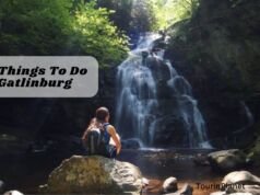 The 18 Best Free Things To Do in Gatlinburg in 2024 Free Things To Do in Gatlinburg