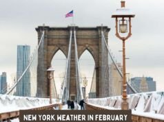 New York Weather in February – A Frosty Blend of Snow and Sunshine New York Weather in February