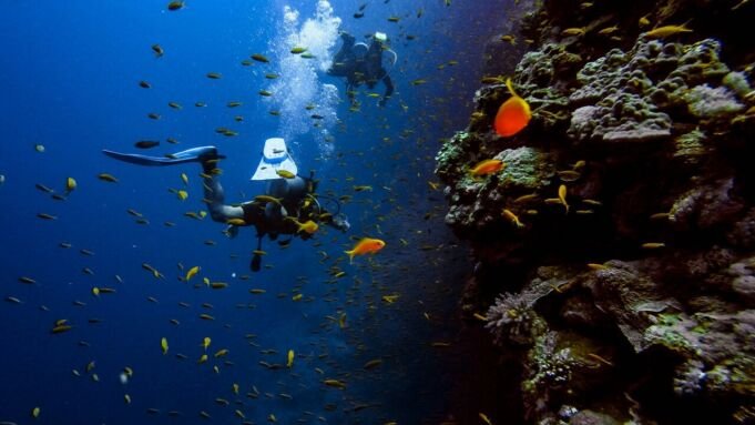 Scuba Diving In Malta