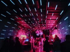 The Ultimate Guide to Hosting a Great Party The Ultimate Guide to Hosting a Great Party