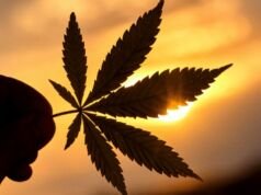 The World’s Top Cannabis-Friendly Destinations The World's Top Cannabis-Friendly Destinations