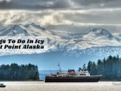 Explore the 30 Best Things To Do In Icy Strait Point Alaska Things To Do In Icy Strait Point Alaska